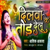 About Dilva Ke Tod Delu Song